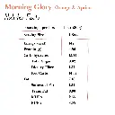 Morning Glory Apricot & Orange